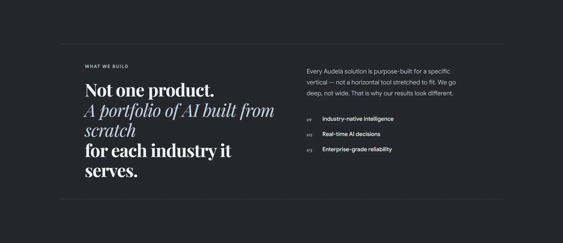 What we build: not one product, a portfolio of AI built from scratch for each industry it serves